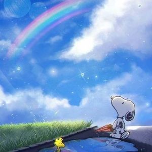 Meet your Posher, Miriam